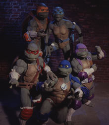 Ninja Turtles The Next Mutation DVD